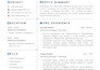 elevate your career with tailored resumes for ceos, cfos, and executive roles